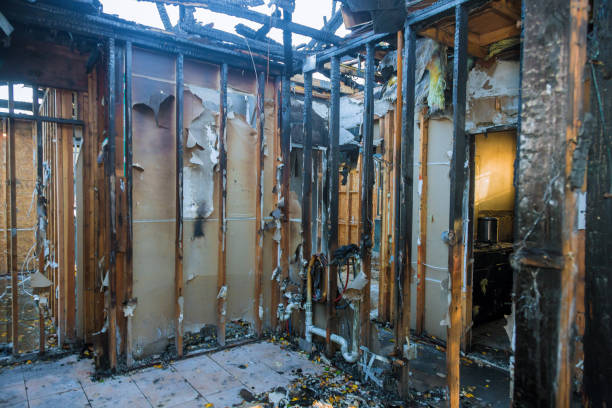 Professional Fire Damage Removal technician working in Riverside, ID
